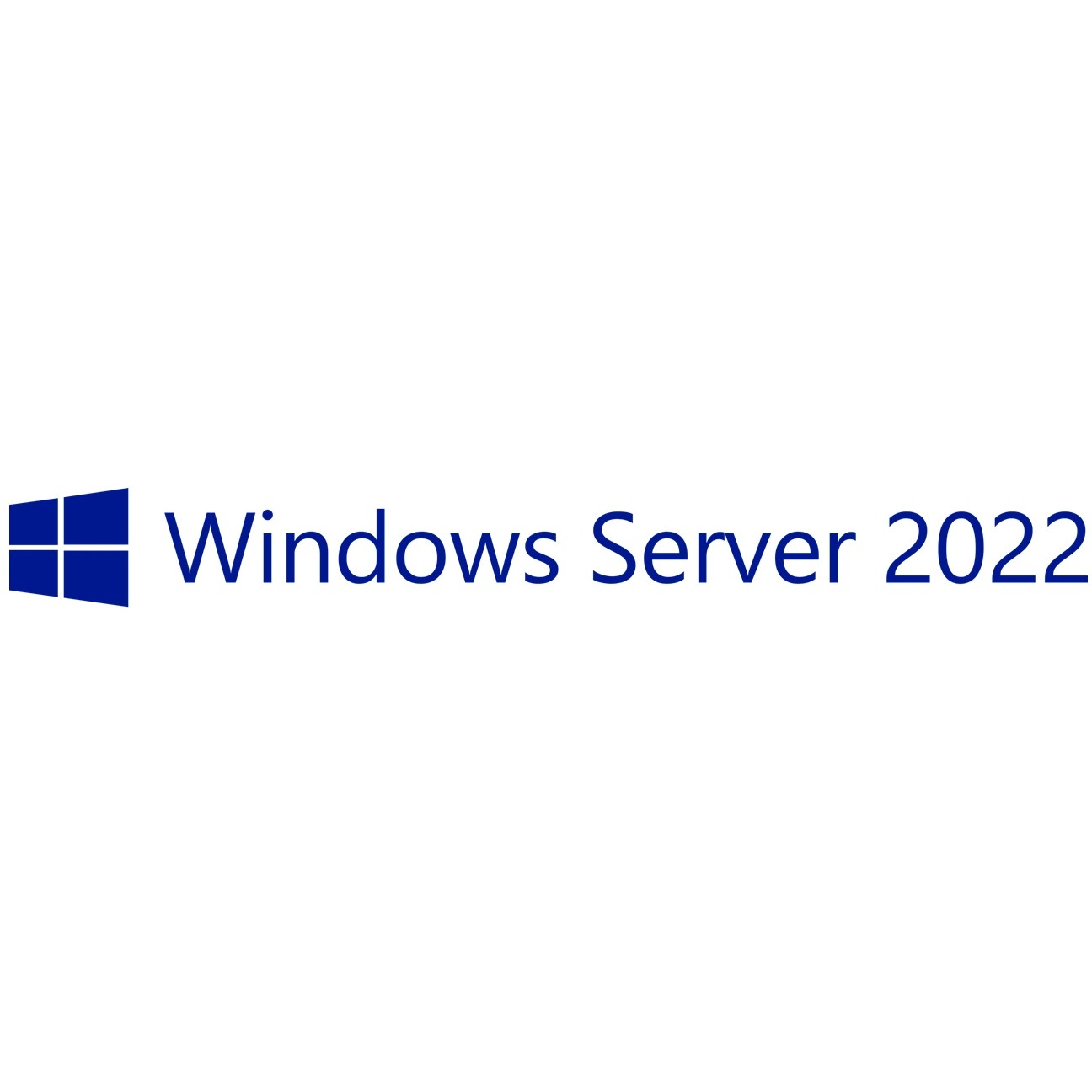 OEM Windows Server 2022 CAL 5 User